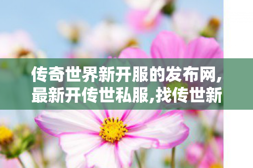传奇世界新开服的发布网,最新开传世私服,找传世新开网站,最新开传世私服