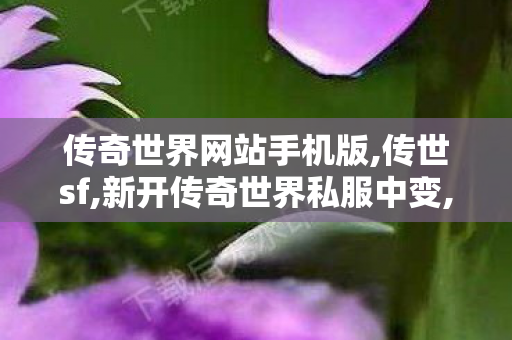 传奇世界网站手机版,传世sf,新开传奇世界私服中变,传世sf
