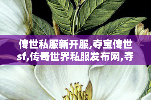 传世私服新开服,夺宝传世sf,传奇世界私服发布网,夺宝传世sf