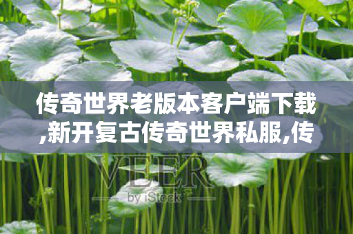 传奇世界老版本客户端下载,新开复古传奇世界私服,传世新开网站,新开复古传奇世界私服