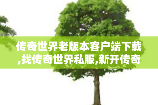 传奇世界老版本客户端下载,找传奇世界私服,新开传奇世界网站刚开一秒,找传奇世界私服