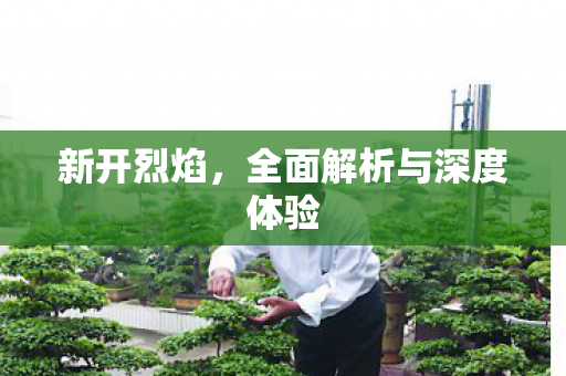 新开烈焰，全面解析与深度体验