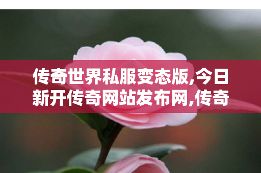 传奇世界私服变态版,今日新开传奇网站发布网,传奇世界复古有元神,今日新开传奇网站发布网