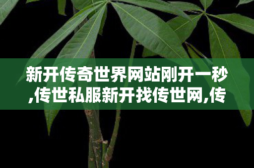 新开传奇世界网站刚开一秒,传世私服新开找传世网,传奇世界私服新开,传世私服新开找传世网