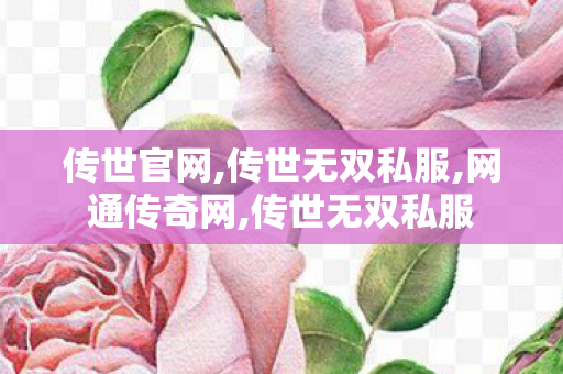 传世官网,传世无双私服,网通传奇网,传世无双私服