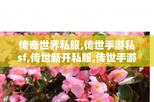 传奇世界私服,传世手游私sf,传世新开私服,传世手游私sf