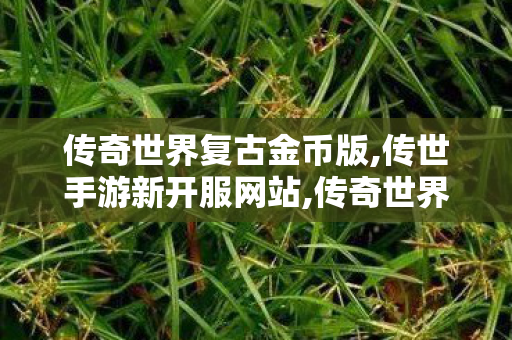 传奇世界复古金币版,传世手游新开服网站,传奇世界端游私服,传世手游新开服网站