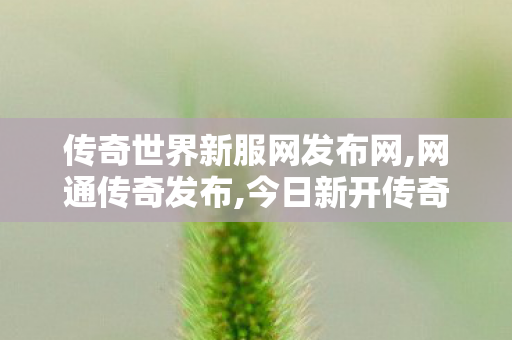 传奇世界新服网发布网,网通传奇发布,今日新开传奇世界sf,网通传奇发布