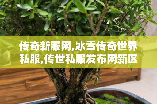 传奇新服网,冰雪传奇世界私服,传世私服发布网新区,冰雪传奇世界私服