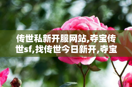 传世私新开服网站,夺宝传世sf,找传世今日新开,夺宝传世sf