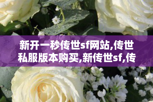 新开一秒传世sf网站,传世私服版本购买,新传世sf,传世私服版本购买