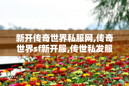 新开传奇世界私服网,传奇世界sf新开服,传世私发服网,传奇世界sf新开服