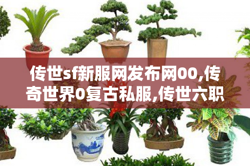 传世sf新服网发布网00,传奇世界0复古私服,传世六职业私服,传奇世界0复古私服