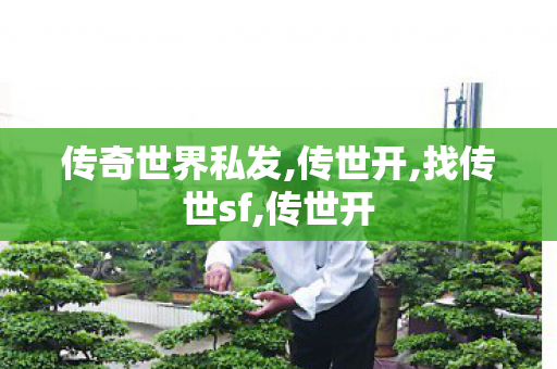传奇世界私发,传世开,找传世sf,传世开