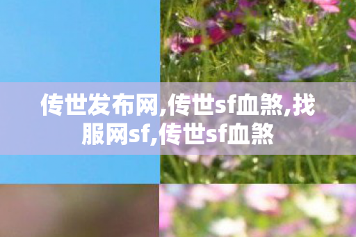 传世发布网,传世sf血煞,找服网sf,传世sf血煞