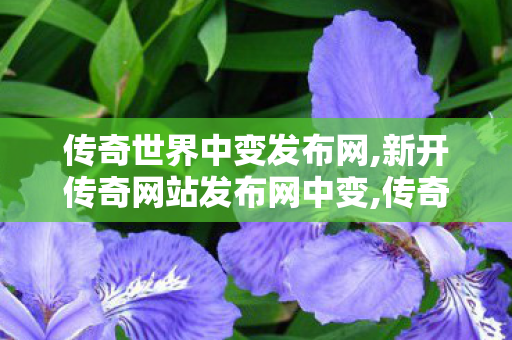 传奇世界中变发布网,新开传奇网站发布网中变,传奇世界私服,最新传世私服,新开传奇网站发布网中变