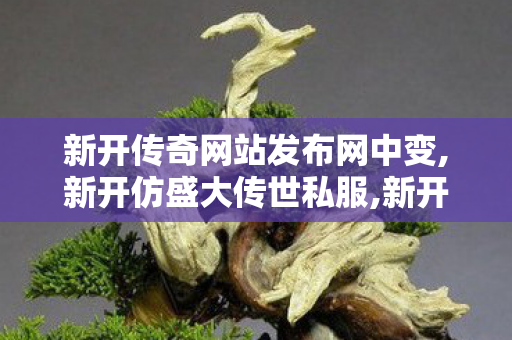新开传奇网站发布网中变,新开仿盛大传世私服,新开中变传奇发布网,新开仿盛大传世私服