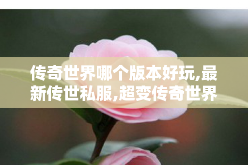 传奇世界哪个版本好玩,最新传世私服,超变传奇世界sf,最新传世私服