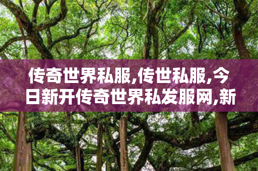 传奇世界私服,传世私服,今日新开传奇世界私发服网,新开传奇世界私服中变,今日新开传奇世界私发服网