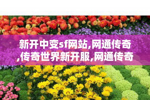新开中变sf网站,网通传奇,传奇世界新开服,网通传奇