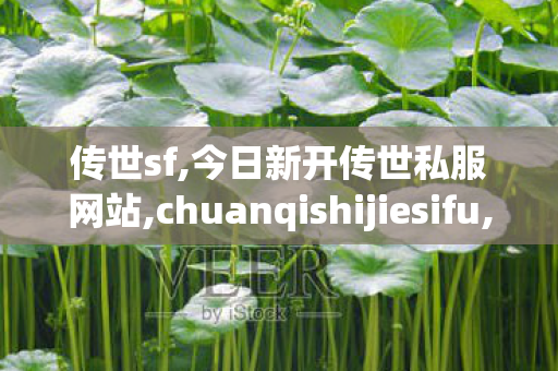 传世sf,今日新开传世私服网站,chuanqishijiesifu,今日新开传世私服网站