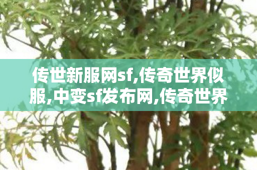 传世新服网sf,传奇世界似服,中变sf发布网,传奇世界似服