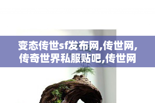 变态传世sf发布网,传世网,传奇世界私服贴吧,传世网