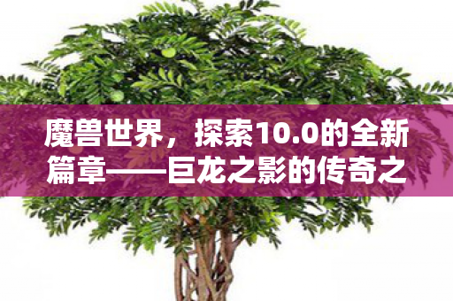 魔兽世界，探索10.0的全新篇章——巨龙之影的传奇之旅