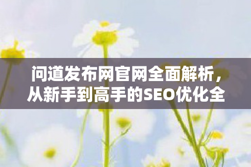 问道发布网官网全面解析，从新手到高手的SEO优化全攻略