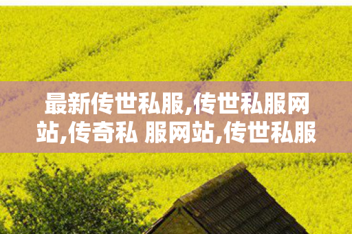 最新传世私服,传世私服网站,传奇私 服网站,传世私服网站