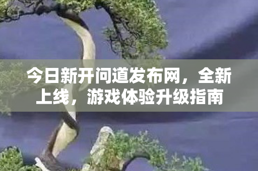 今日新开问道发布网，全新上线，游戏体验升级指南