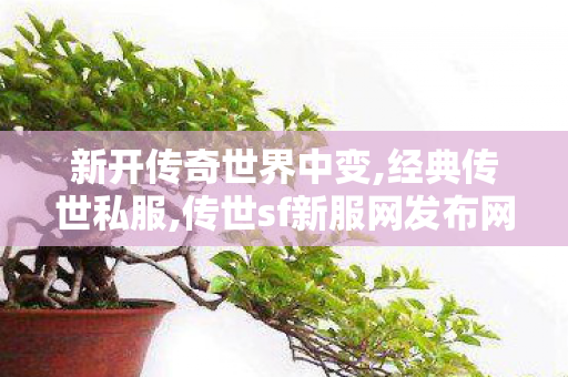 新开传奇世界中变,经典传世私服,传世sf新服网发布网,经典传世私服