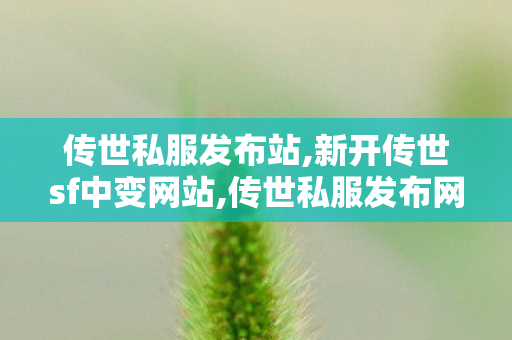 传世私服发布站,新开传世sf中变网站,传世私服发布网站,新开传世sf中变网站