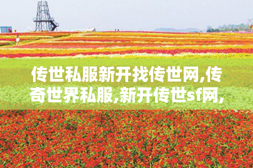 传世私服新开找传世网,传奇世界私服,新开传世sf网,传奇世界新开网站服,传奇世界私服,新开传世sf网
