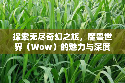 探索无尽奇幻之旅，魔兽世界（Wow）的魅力与深度
