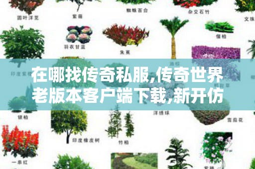 在哪找传奇私服,传奇世界老版本客户端下载,新开仿盛大传世私服,传奇世界老版本客户端下载