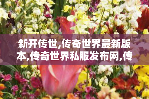 新开传世,传奇世界最新版本,传奇世界私服发布网,传奇世界最新版本