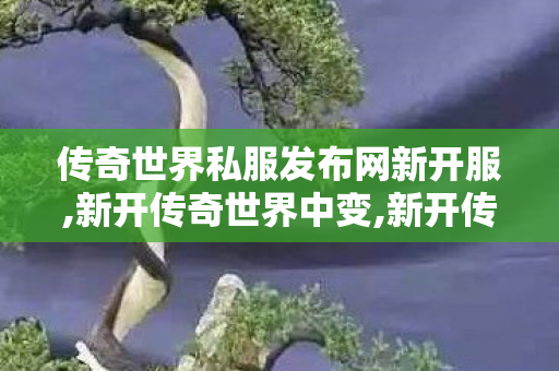 传奇世界私服发布网新开服,新开传奇世界中变,新开传奇世界私服发布网站,新开传奇世界中变
