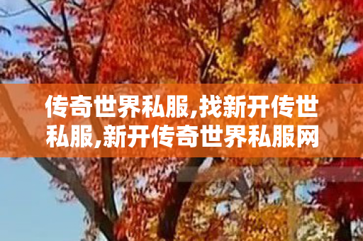 传奇世界私服,找新开传世私服,新开传奇世界私服网站,今天新开私服,新开传奇世界私服网站
