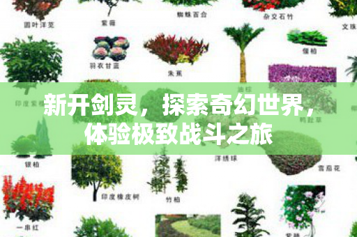 新开剑灵，探索奇幻世界，体验极致战斗之旅