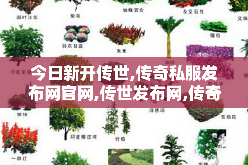 今日新开传世,传奇私服发布网官网,传世发布网,传奇私服发布网官网