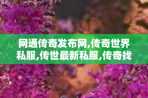 网通传奇发布网,传奇世界私服,传世最新私服,传奇找服网,传奇世界私服,传世最新私服