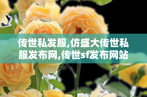 传世私发服,仿盛大传世私服发布网,传世sf发布网站,仿盛大传世私服发布网