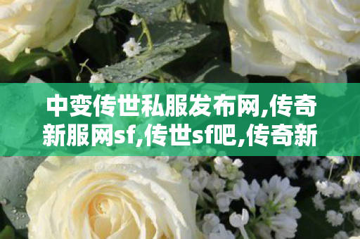 中变传世私服发布网,传奇新服网sf,传世sf吧,传奇新服网sf