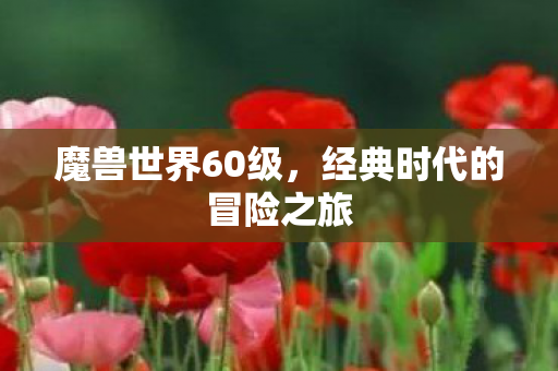 魔兽世界60级，经典时代的冒险之旅