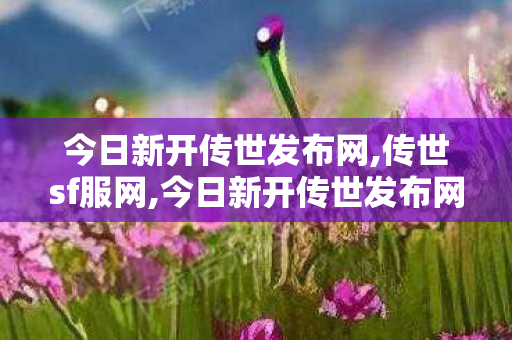 今日新开传世发布网,传世sf服网,今日新开传世发布网站,传世sf服网