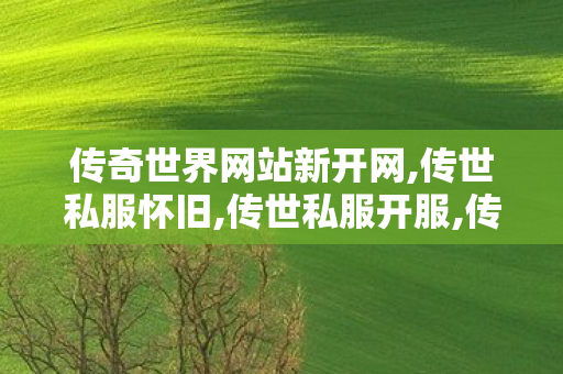 传奇世界网站新开网,传世私服怀旧,传世私服开服,传世私服怀旧