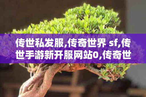 传世私发服,传奇世界 sf,传世手游新开服网站0,传奇世界 sf