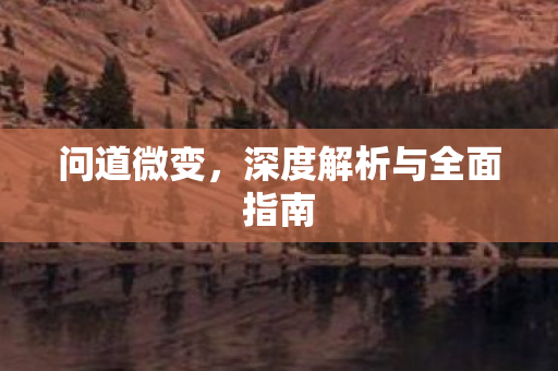 问道微变，深度解析与全面指南
