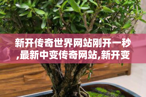 新开传奇世界网站刚开一秒,最新中变传奇网站,新开变态传世私服网,最新中变传奇网站